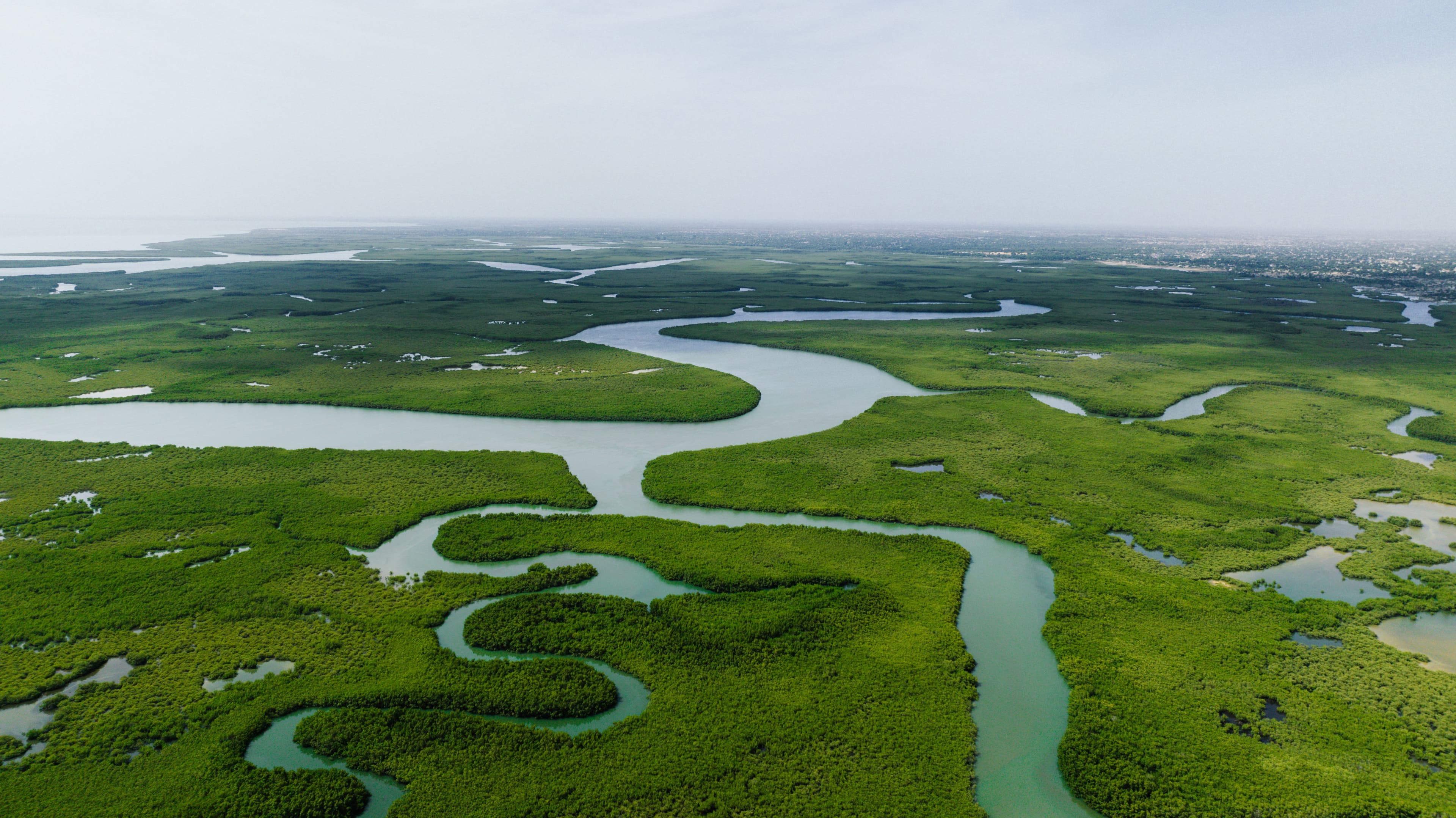 Nigeria’s landscapes under watch